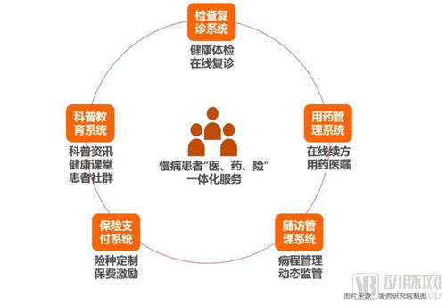 從107家互聯(lián)網(wǎng)醫(yī)院數(shù)據(jù)洞察服務(wù)創(chuàng)新模式與未來(lái)發(fā)展路徑